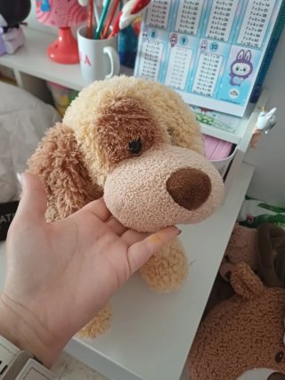 Lote de 10 peluches Por separado 5 y 3 euros.