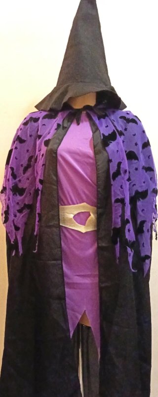 Disfraz Bruja Adulto 4pz Talla Única