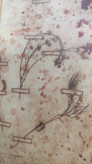 Stampa Pascal Cessou Anfora Fiori 84x84