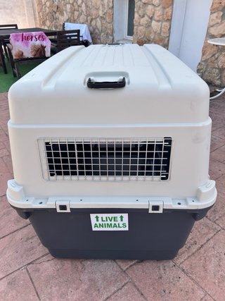 Transportín gigante para perros