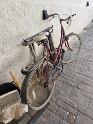 Bicicleta paseo