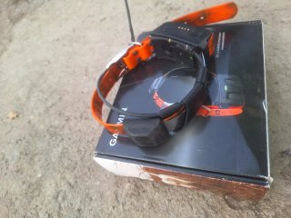 Collar Seguimiento Perros Garmin DC50