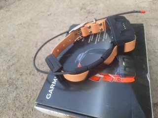 Collar Seguimiento Perros Garmin DC50