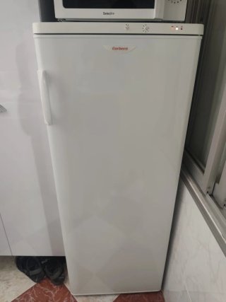Bajada de precio solo el frigorico 100