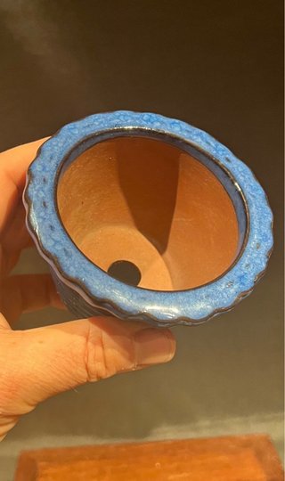 MACETA BONSAI MAME SEMI CASCADA  ACENTO AZUL KOREA