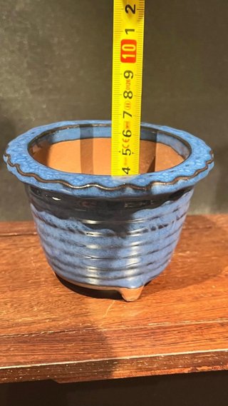 MACETA BONSAI MAME SEMI CASCADA  ACENTO AZUL KOREA