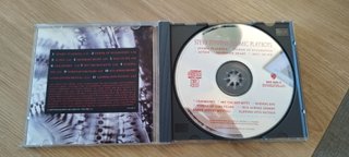 Steve Stevens - Atomic Playboys - CD - Billy Idol