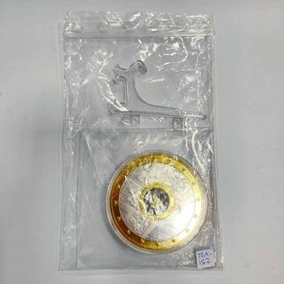 Grande Medaglia Commemorativa Denominación Euro 1995