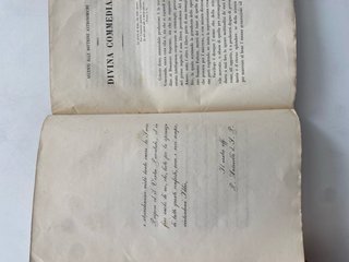 Sulle dottrine astronomiche della Divina Commedia.