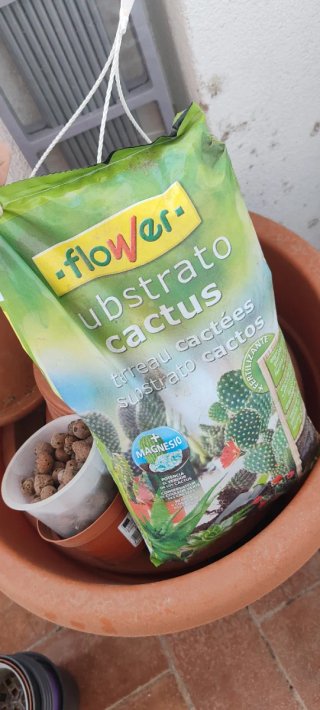 Macetas y herramientas de jardinería