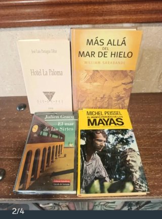 Novela histórica 1
