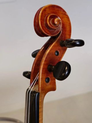 Violín trompeta Tiebelop