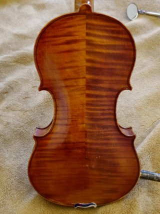 Violín trompeta Tiebelop