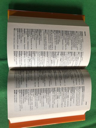 Dizionario spagnolo/italiano