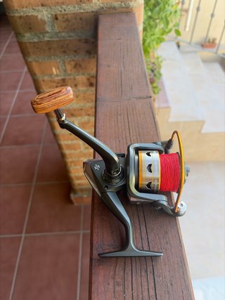 Carrete pesca Sougayilang principiante