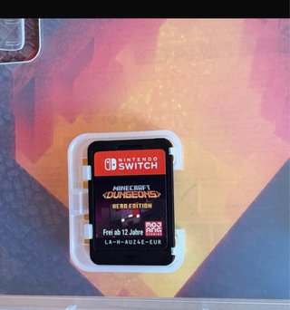 Minecraft Dungeons Hero Edition Switch
