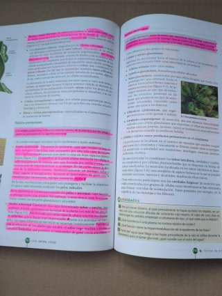 Biología y Geología 1º Bachillerato Tesela Libr...