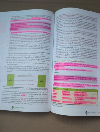 Biología y Geología 1º Bachillerato Tesela Libr...