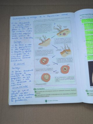 Biología y Geología 1º Bachillerato Tesela Libr...