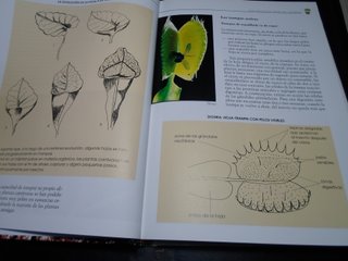 Lote 2 Libros: Plantas Carnívoras y Cactus
