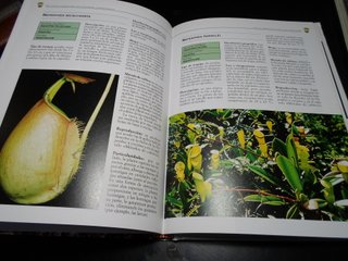 Lote 2 Libros: Plantas Carnívoras y Cactus
