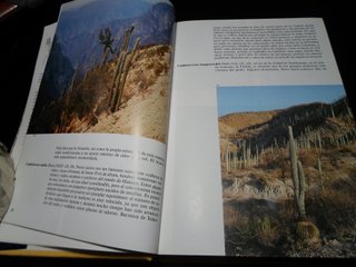 Lote 2 Libros: Plantas Carnívoras y Cactus