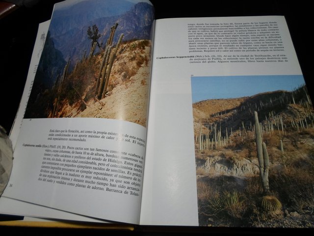 Lote 2 Libros: Plantas Carnívoras y Cactus