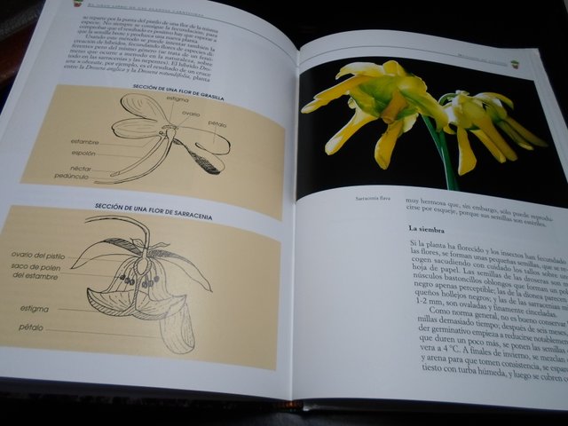 Lote 2 Libros: Plantas Carnívoras y Cactus