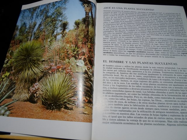 Lote 2 Libros: Plantas Carnívoras y Cactus