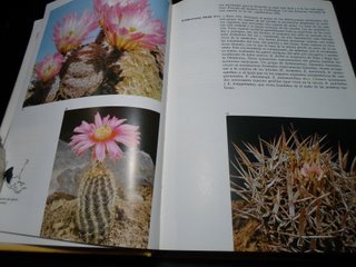 Lote 2 Libros: Plantas Carnívoras y Cactus
