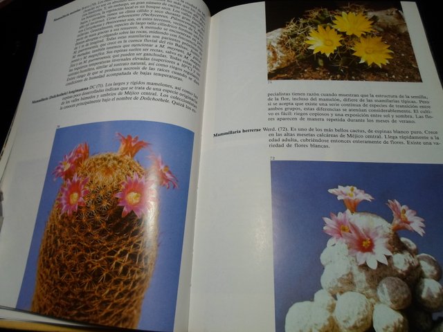 Lote 2 Libros: Plantas Carnívoras y Cactus