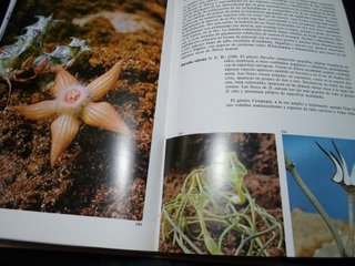 Lote 2 Libros: Plantas Carnívoras y Cactus