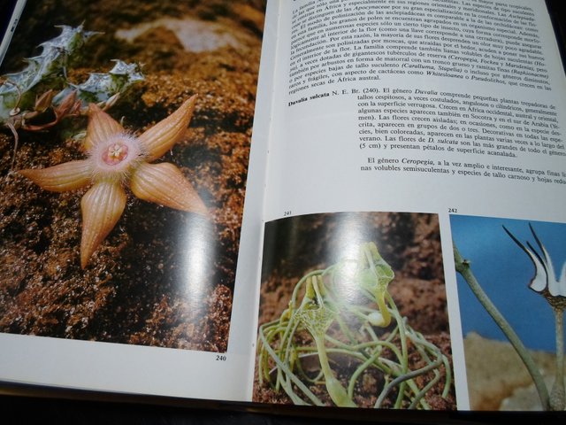 Lote 2 Libros: Plantas Carnívoras y Cactus