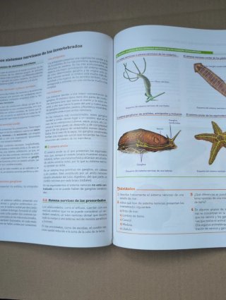 Biología y geología, Bachillerato 1 Aprender es...