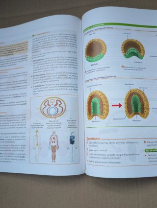 Biología y geología, Bachillerato 1 Aprender es...