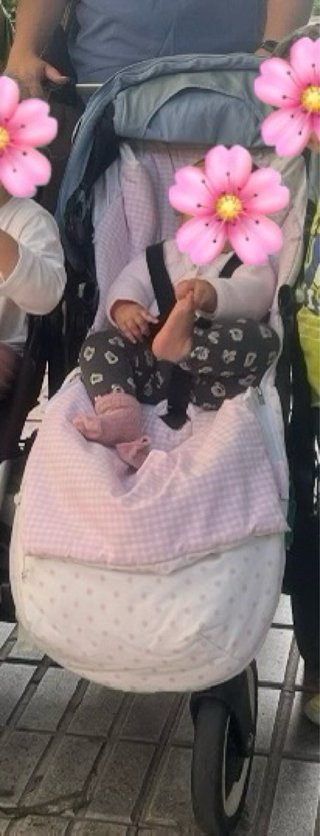 Oferta, Dos sacos uzturre Carrito Bebé Rosa Blanco