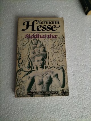 Novelas Hermann Hesse y A. Camus