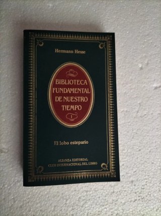 Novelas Hermann Hesse y A. Camus