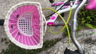 Bici niña 20 pulgadas