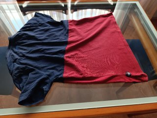 Camiseta Hombre Manga Corta Azul y Roja