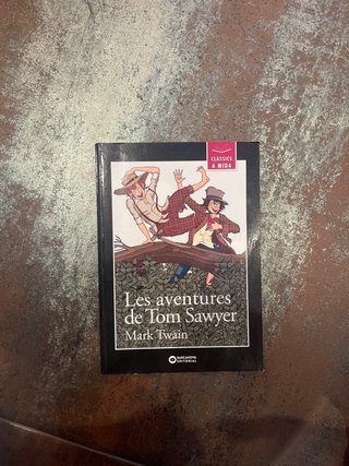 Les aventures de Tom Sawyer
