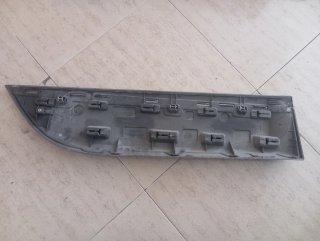 Moldura Puerta Trasera Izquierda SCENIC III