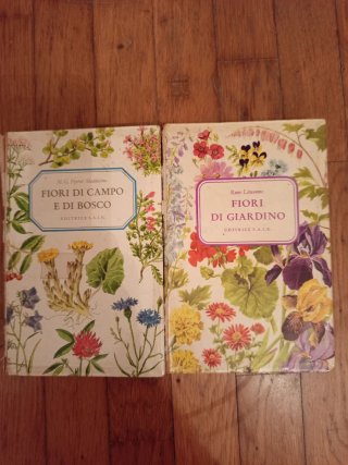 Libri Vintage da collezione