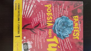 Lengua castellana y literatura 1 Secundaria