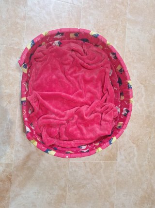 Cama y manta para gatos