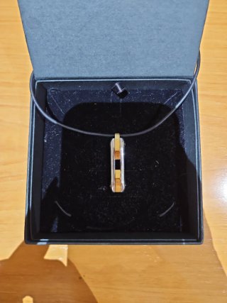 Colgante Lotus Acero Hombre Oro y Plata