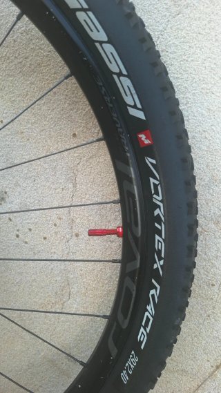 Orbea Occam29" Bicicleta Montaña
