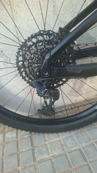 Orbea Occam29" Bicicleta Montaña
