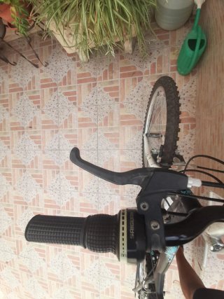 Bicicleta Montaña Ruedas 24