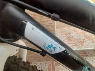 Bicicleta Montaña Ruedas 24